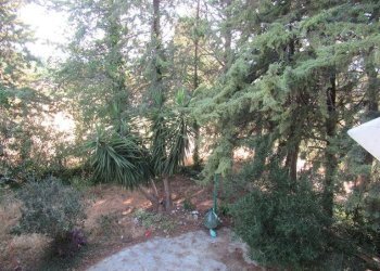 Foto 34 - Independent house Via Dei Peschi
 
13, Spoltore - photo 34