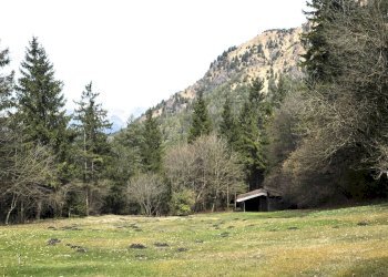 Vista delle montagne - Villa VIA RIGHENZUOLO
 
SNC, Songavazzo - foto 9