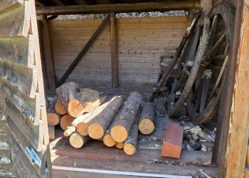 Dispensa di stoccaggio - Villa VIA RIGHENZUOLO
 
SNC, Songavazzo - foto 13