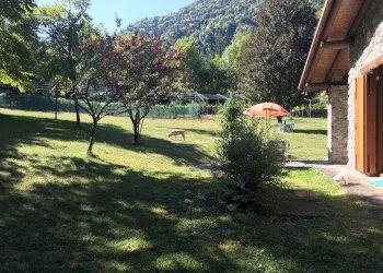 Giardino - Villa VIA RIGHENZUOLO
 
SNC, Songavazzo - foto 29