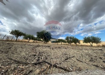 Giardino - Villa Contrada Favarella Bassa, Caltanissetta - foto 22