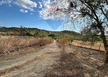 Vista delle montagne - Villa Contrada Favarella Bassa, Caltanissetta - foto 82