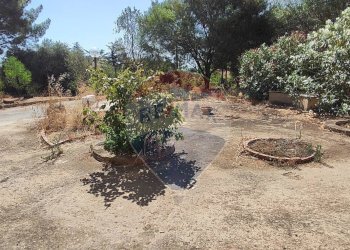 Giardino - Casa semi indipendente VIA UGO FOSCOLO
 
5, Caltagirone - foto 20