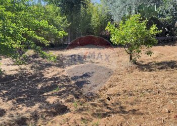 Giardino - Casa semi indipendente VIA UGO FOSCOLO
 
5, Caltagirone - foto 21