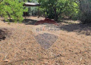 Giardino - Casa semi indipendente VIA UGO FOSCOLO
 
5, Caltagirone - foto 22