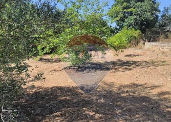 Giardino - Casa semi indipendente VIA UGO FOSCOLO
 
5, Caltagirone - foto 23