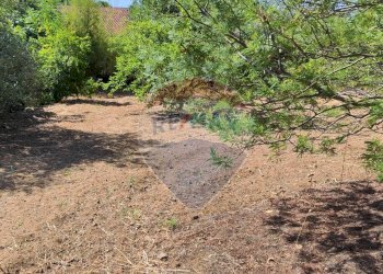 Giardino - Casa semi indipendente VIA UGO FOSCOLO
 
5, Caltagirone - foto 24