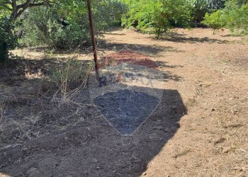 Giardino - Casa semi indipendente VIA UGO FOSCOLO
 
5, Caltagirone - foto 25