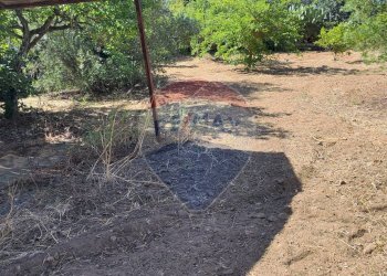 Giardino - Casa semi indipendente VIA UGO FOSCOLO
 
5, Caltagirone - foto 26