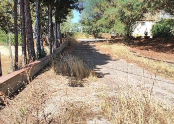 Giardino - Casa semi indipendente VIA UGO FOSCOLO
 
5, Caltagirone - foto 27