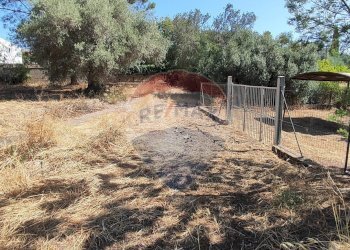 Giardino - Casa semi indipendente VIA UGO FOSCOLO
 
5, Caltagirone - foto 29