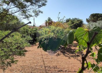 Giardino - Casa semi indipendente VIA UGO FOSCOLO
 
5, Caltagirone - foto 30