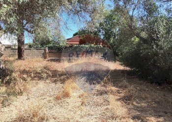 Giardino - Casa semi indipendente VIA UGO FOSCOLO
 
5, Caltagirone - foto 32