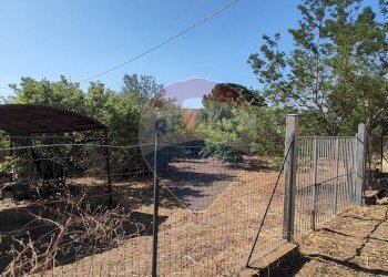 Giardino - Casa semi indipendente VIA UGO FOSCOLO
 
5, Caltagirone - foto 33