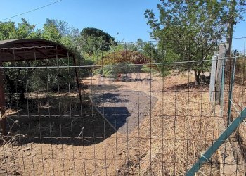 Giardino - Casa semi indipendente VIA UGO FOSCOLO
 
5, Caltagirone - foto 34