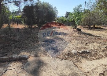 Giardino - Casa semi indipendente VIA UGO FOSCOLO
 
5, Caltagirone - foto 36