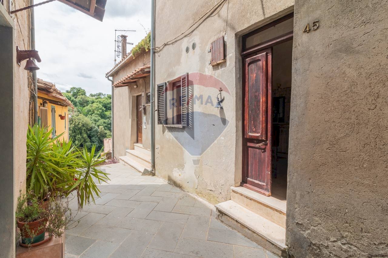 Terrazza - Bilocale Via Del Fiore
 
45, Ischia di Castro - foto 3