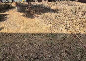 Foto 14 - Terreno edificabile Marcianise - foto 14