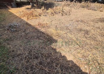 Foto 15 - Terreno edificabile Marcianise - foto 15