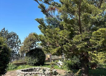 Giardino - Casa indipendente Minturno - foto 22