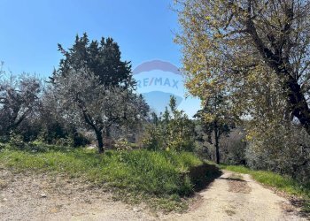 Giardino - Casa indipendente Minturno - foto 34