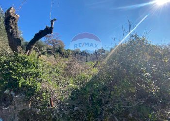 Vista delle montagne - Terreno edificabile Formia - foto 13