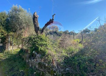 Vista delle montagne - Terreno edificabile Formia - foto 14