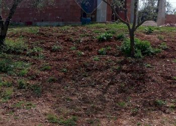 Giardino - Villa Itri - foto 9