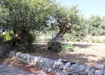 Foto 7 - Villa contrada san corrado fuori le mura, Noto - foto 7