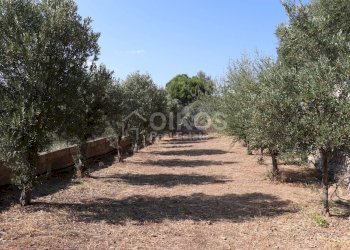 Foto 11 - Villa contrada san corrado fuori le mura, Noto - foto 11