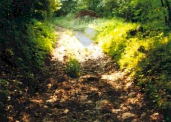 Giardino - Terreno agricolo Monasterolo del Castello / Endine Gaiano (Piangaiano), Monasterolo del Castello - foto 8