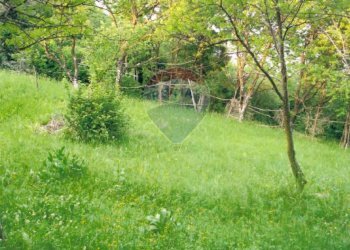 Giardino - Terreno agricolo Monasterolo del Castello / Endine Gaiano (Piangaiano), Monasterolo del Castello - foto 11