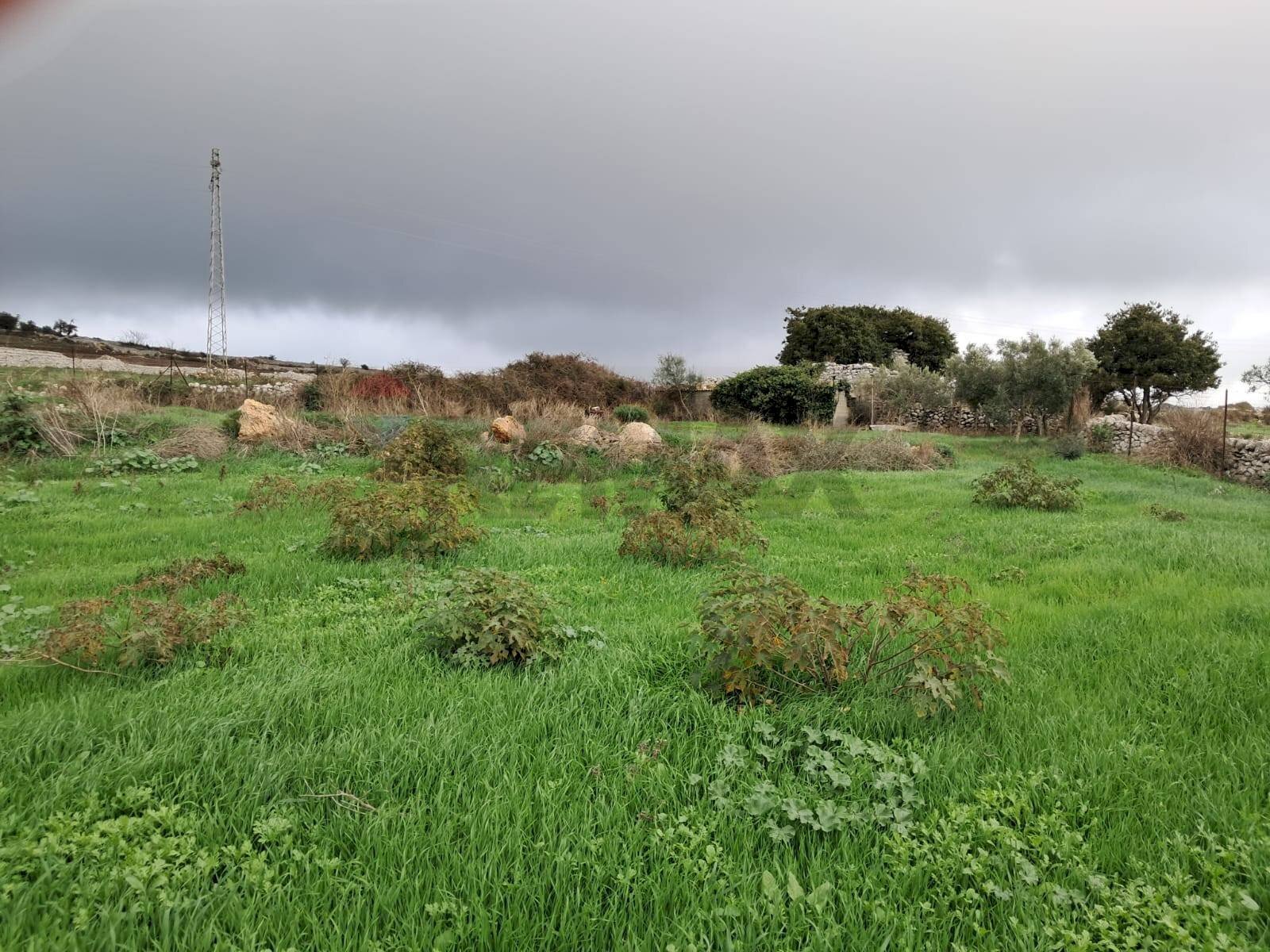 Giardino - Agricultural land contrada Crocilla
 
50, Ragusa - photo 3