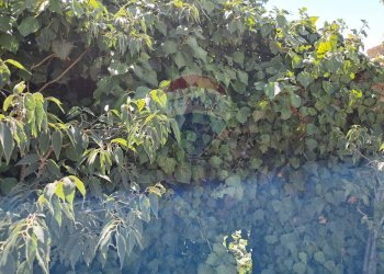 Giardino - Agricultural land contrada Crocilla
 
50, Ragusa - photo 13