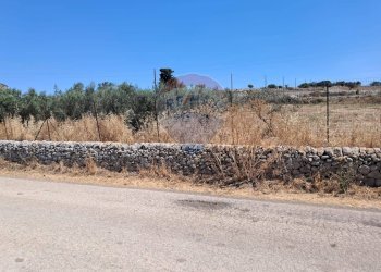 Vista delle montagne - Agricultural land contrada Crocilla
 
50, Ragusa - photo 22