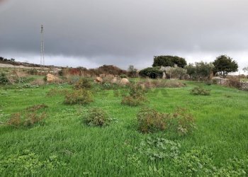 Giardino - Agricultural land contrada Crocilla
 
50, Ragusa - photo 23