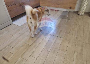 Dettagli - Semi-detached house Via S. Chiara
 
4, Bucchianico - photo 23