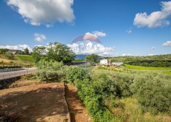 Giardino - Casa indipendente Via Val Di Foro
 
69, Casacanditella - foto 25
