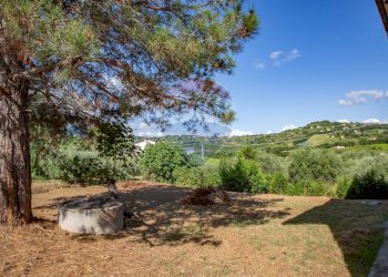 Giardino - Casa indipendente Via Val Di Foro
 
69, Casacanditella - foto 37