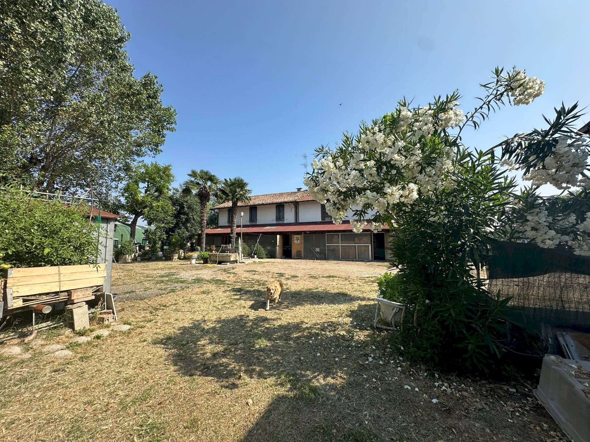 Foto 3 - Rustico Via Marta
 
25, Castelfranco Emilia - foto 3