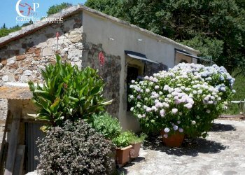 Foto 14 - Rustico via di Valle, Pontassieve - foto 14