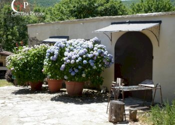 Foto 23 - Rustico via di Valle, Pontassieve - foto 23