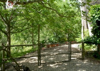 Foto 25 - Rustico via di Valle, Pontassieve - foto 25