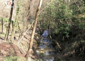 Foto 28 - Rustico via di Valle, Pontassieve - foto 28