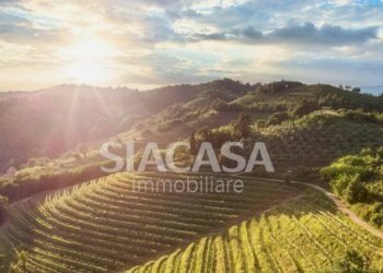 Foto 28 - Trilocale Via San Francesco
 
8, Montevecchia - foto 28