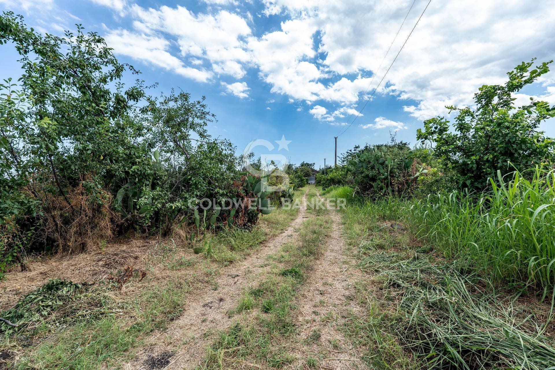 Foto 3 - Terreno agricolo Via Ungaretti
 
7, Giarre - foto 3