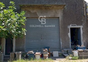 Foto 4 - Terreno agricolo Via Ungaretti
 
7, Giarre - foto 4