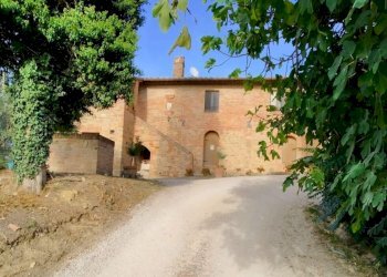 Rustic Strada del Lago, Chiusi - photo 5