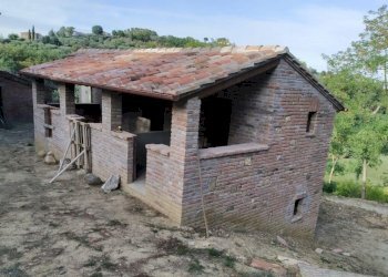 Rustic Strada del Lago, Chiusi - photo 19