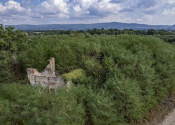 Rustico Via Fiume, 25, Asciano - foto 5